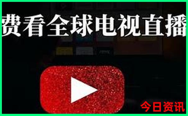 下一期专家精准预测