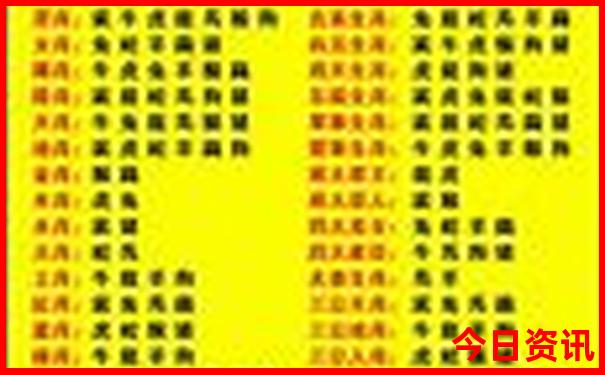 新奥全新必看天天汇总全新内容资料速查大全-澳门一码一肖一特一中管家
